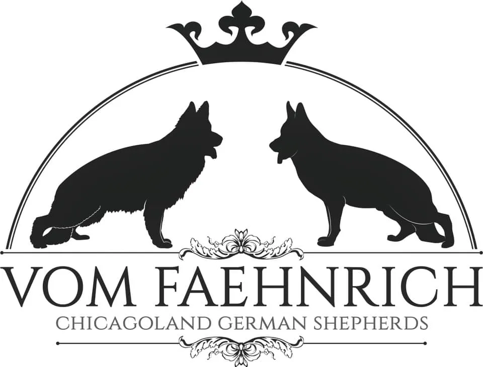 Vom Faehnrich-Chicagoland German Shepherds