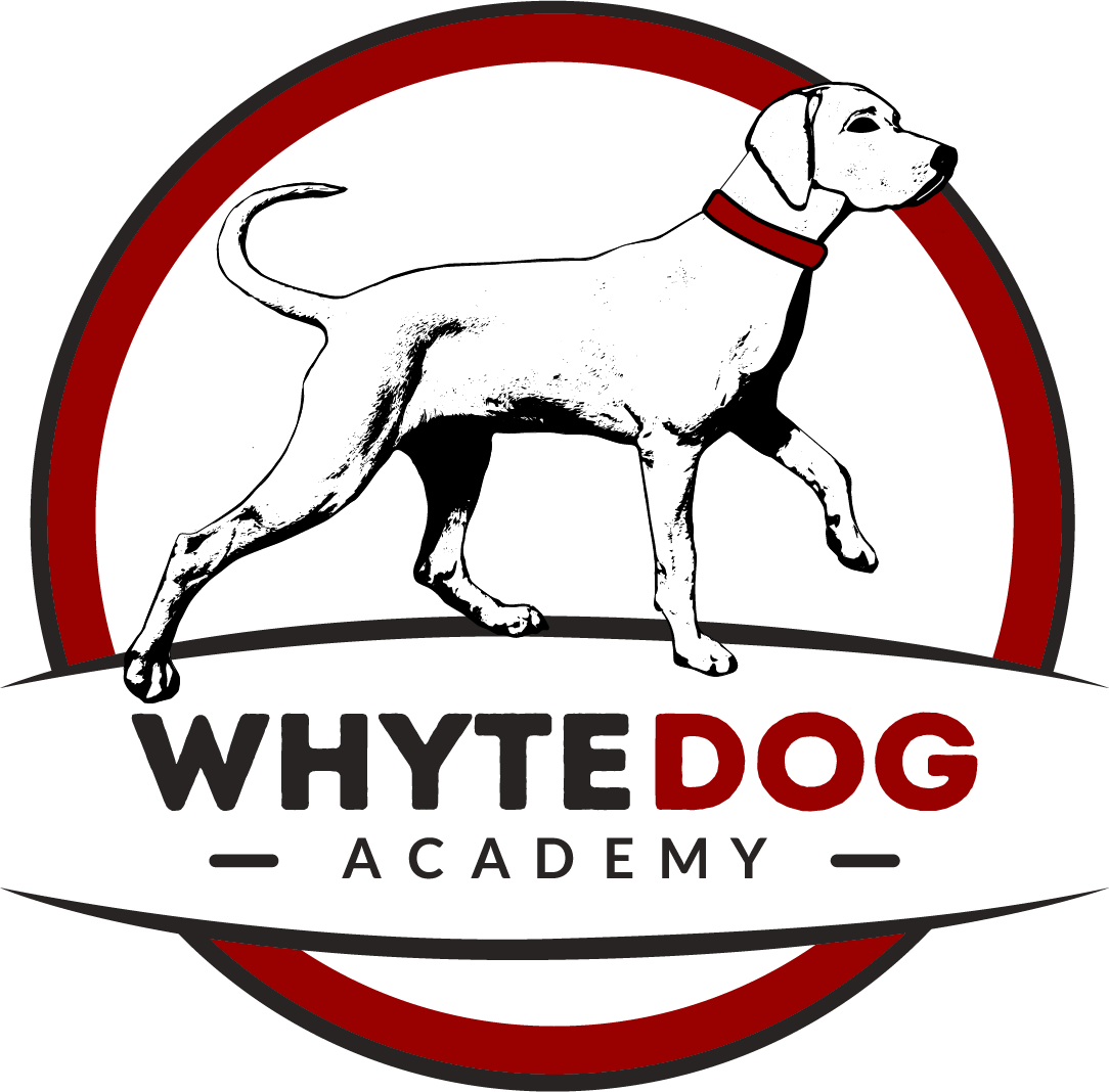 Whyte Dog Academy logo