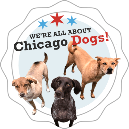 K9 University Chicago logo