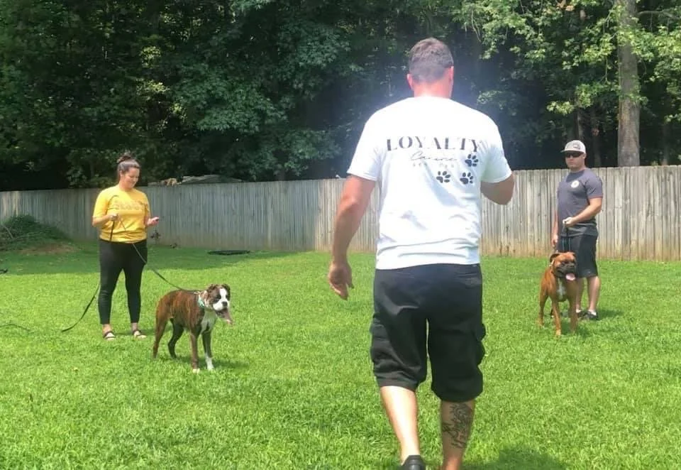 Loyalty Canine Services