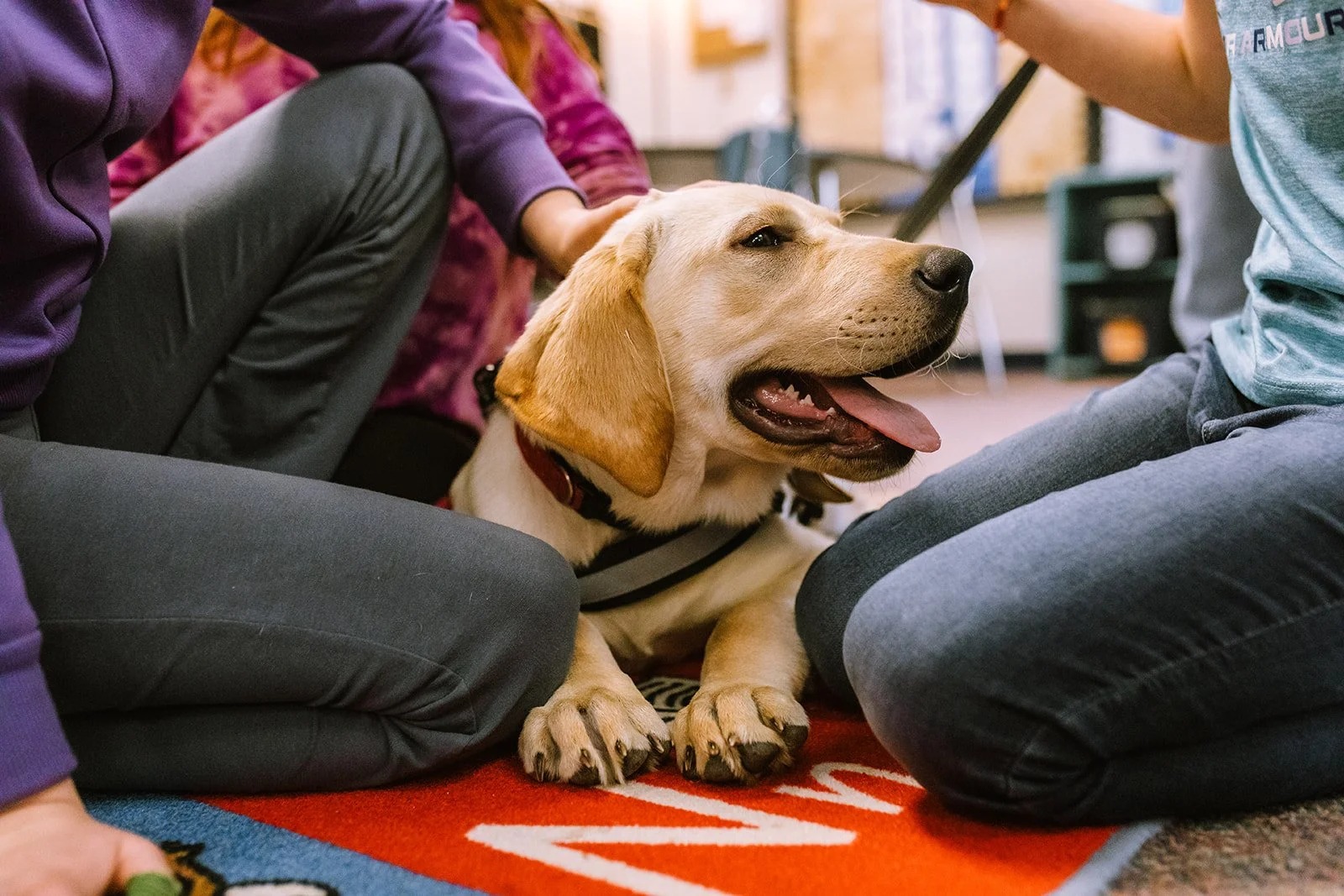 Canines for Change