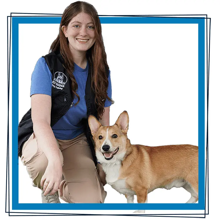 K9 Mania Dog Training