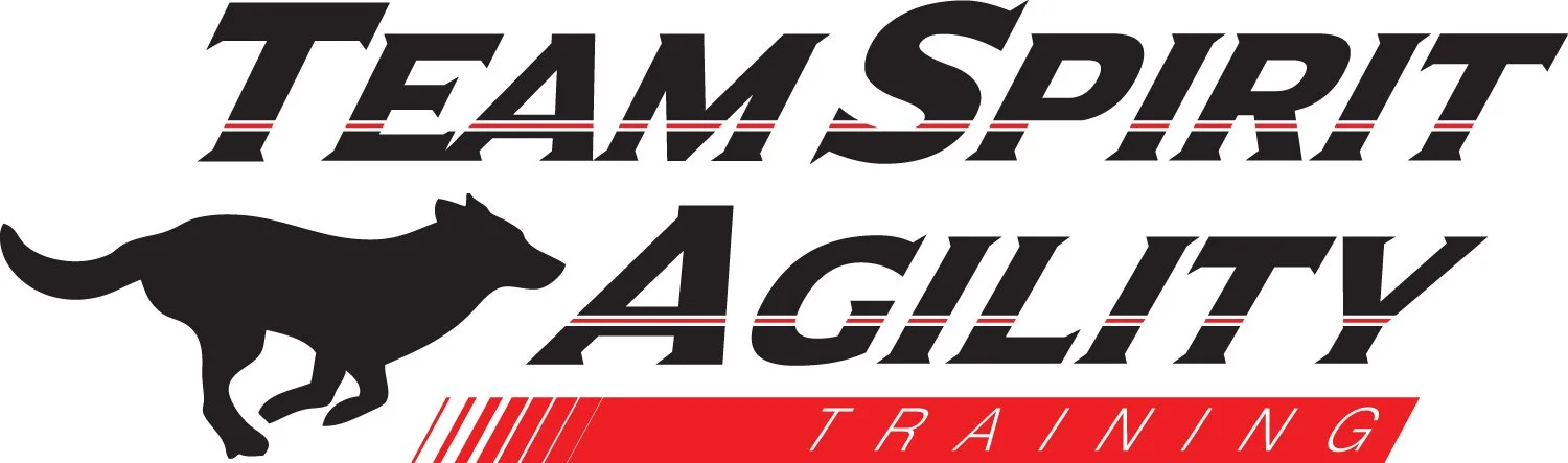 Team Spirit Agility logo