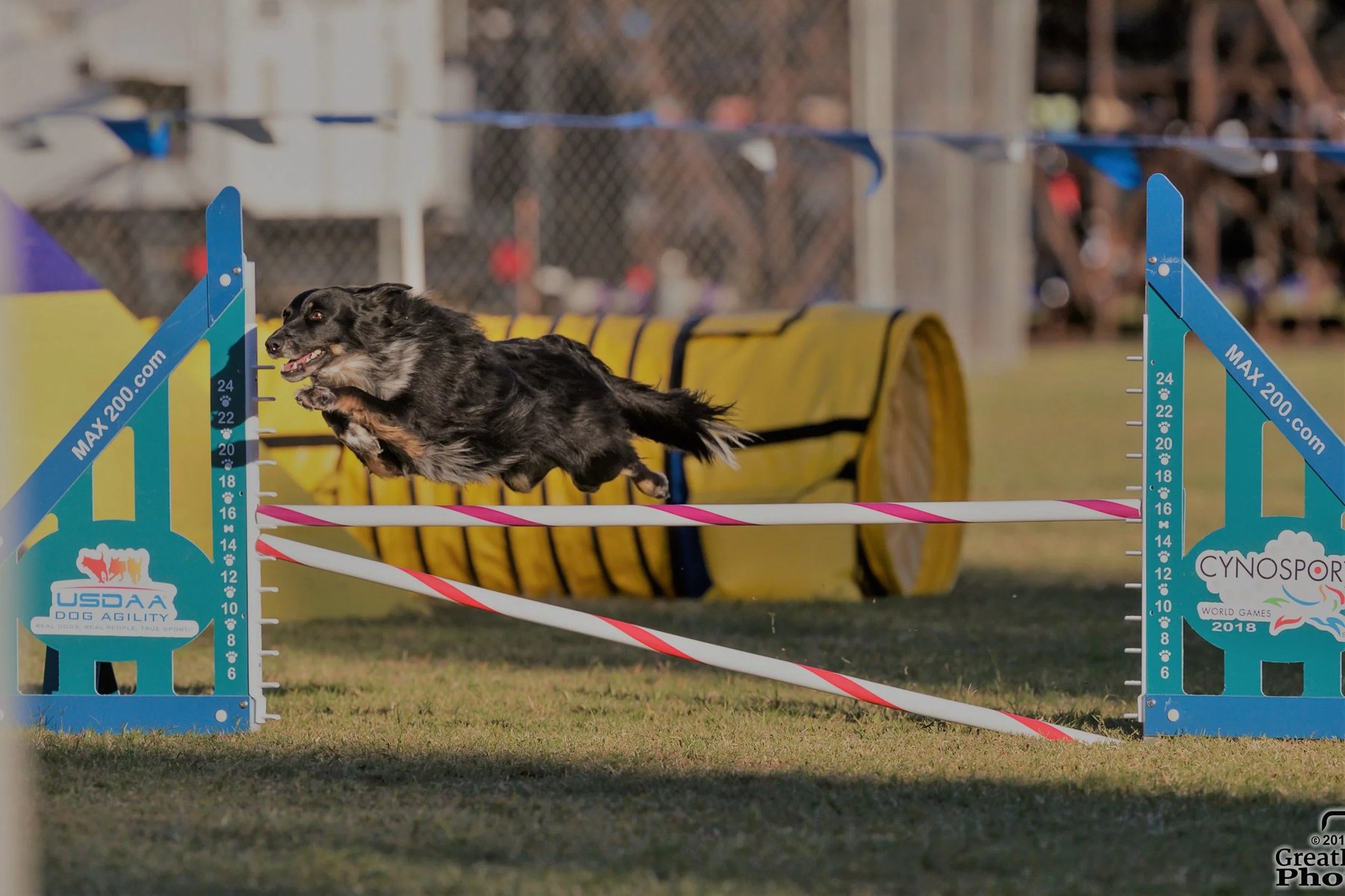 Team Spirit Agility