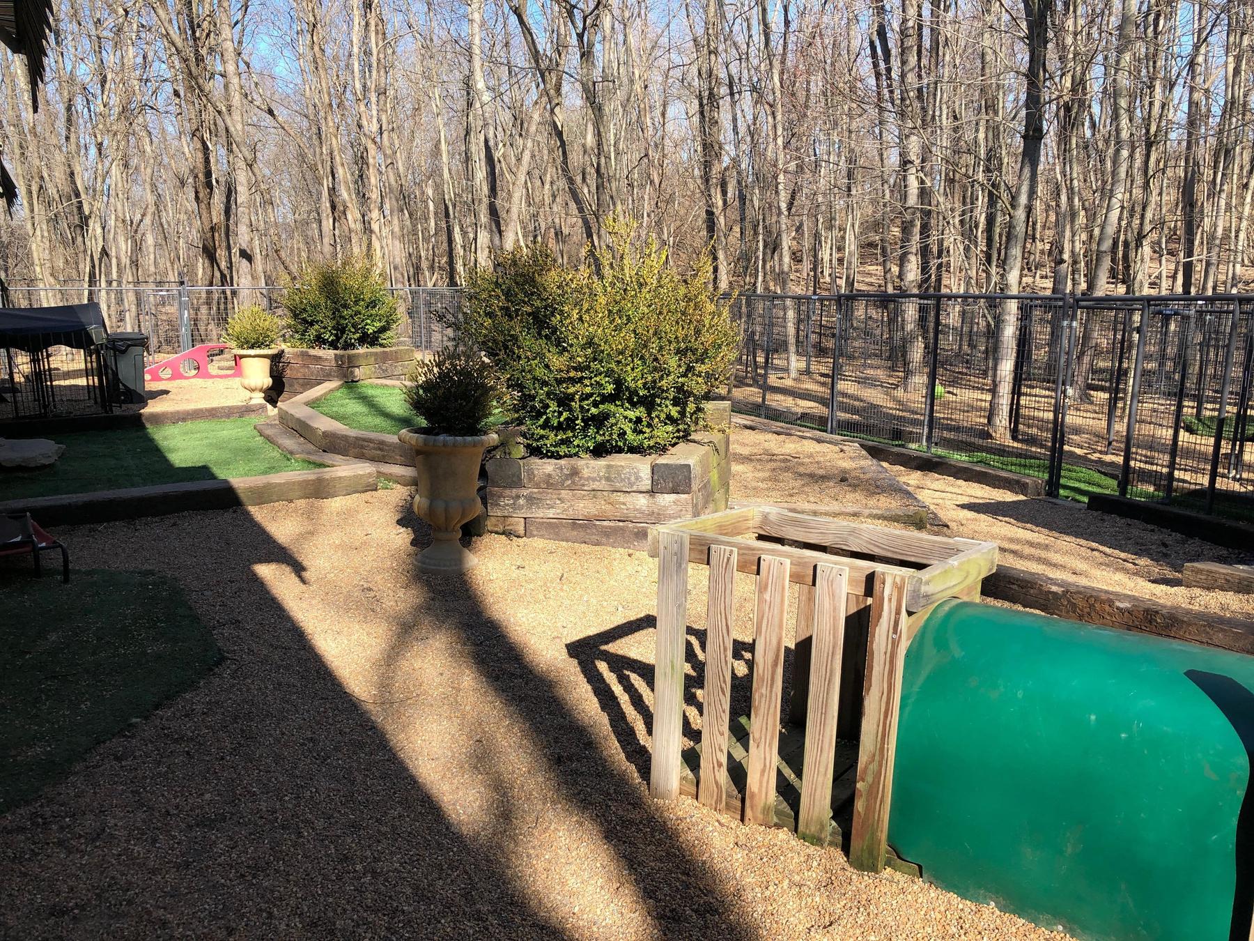Breezewood Kennels