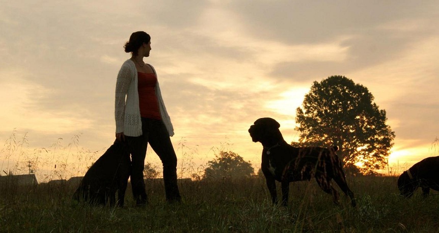 Heather Pope Dog Training — dog trainer in Columbia, TN