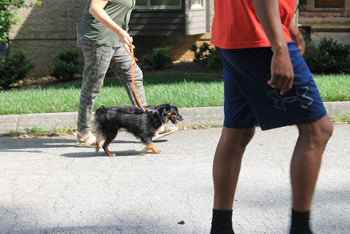 Levi’s K9 Academy