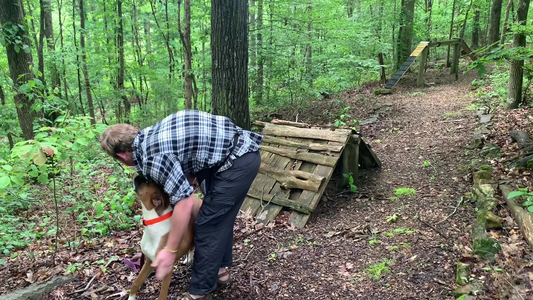 moores dog training
