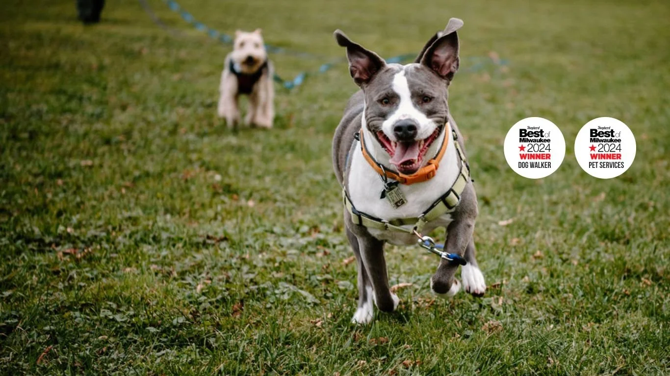 Off Leash MKE