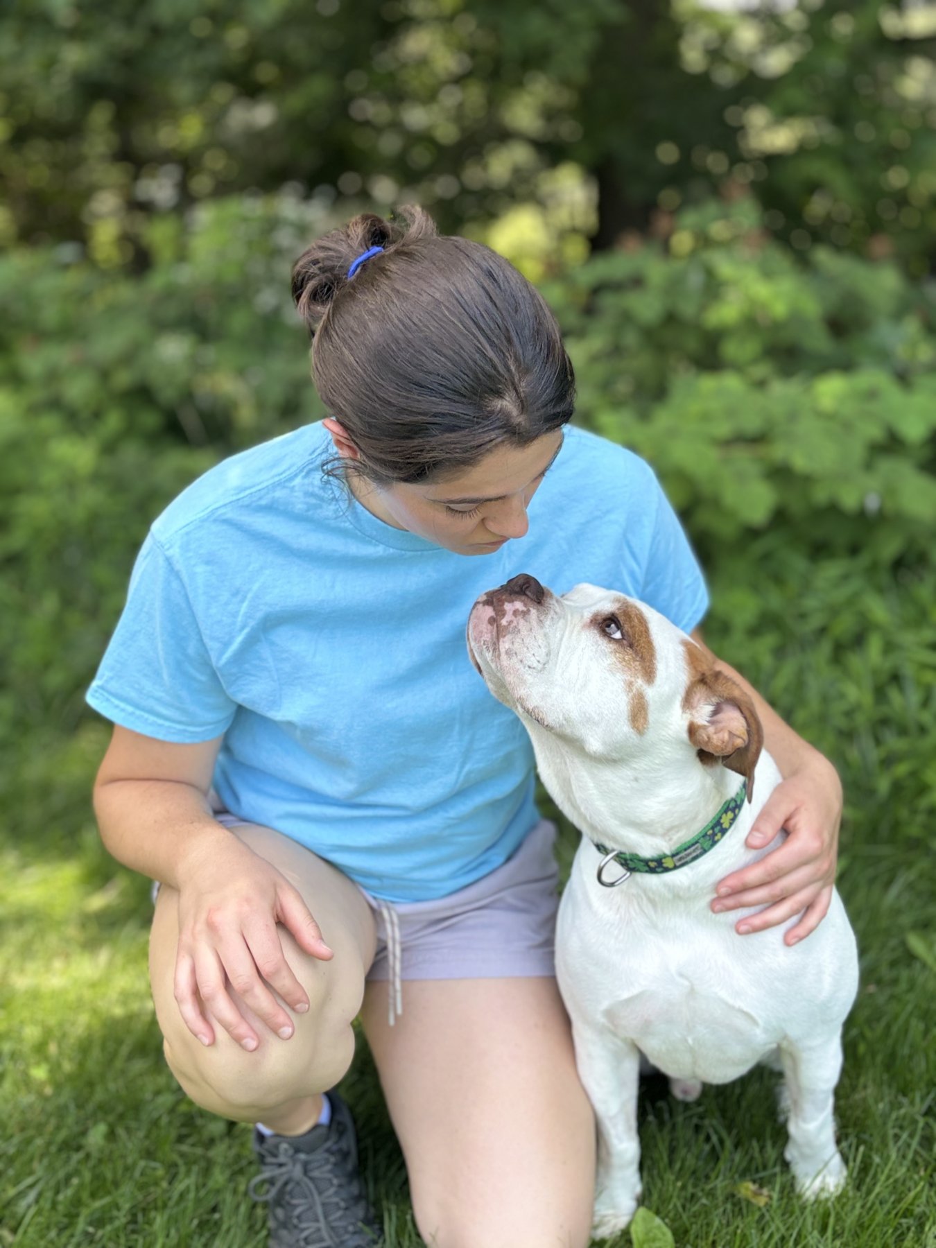 Paws & Effect Dog Training