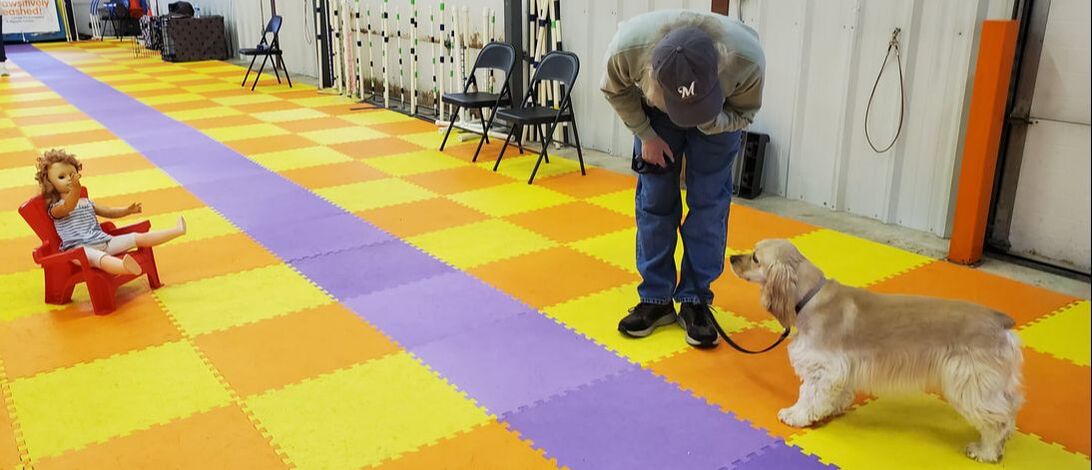 Pawsitively Unleashed! — dog trainer in Wausau, WI