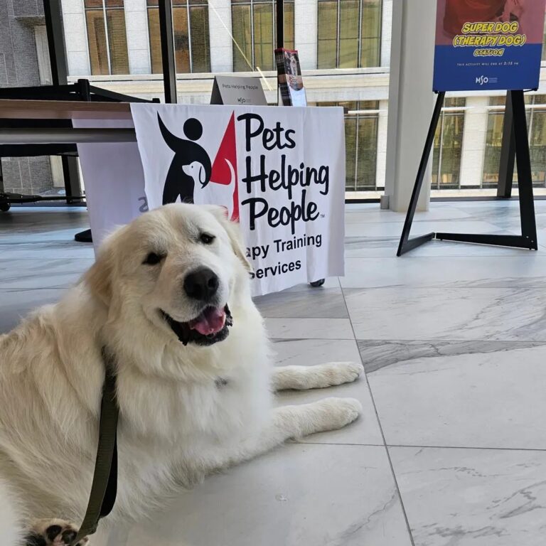 Pets Helping People