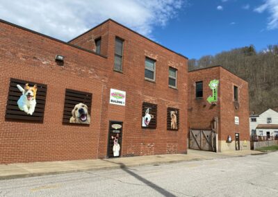 Play N Stay Pet Camp – South Wheeling