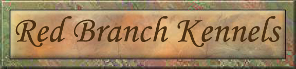 Red Branch Kennels