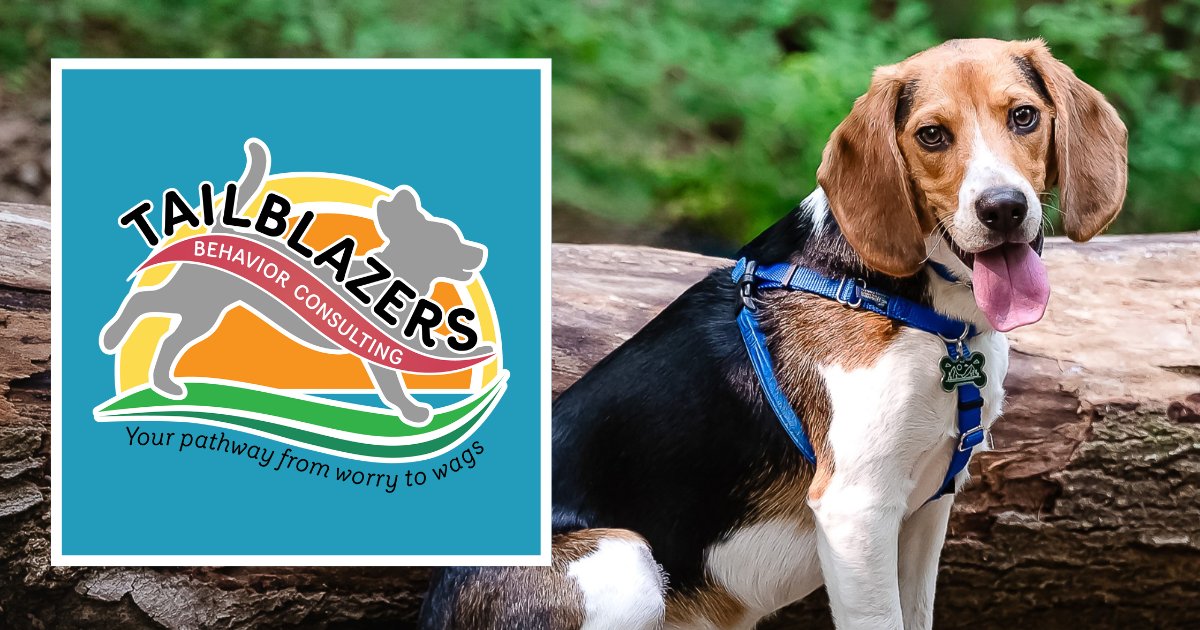 Tailblazers Behavior Consulting