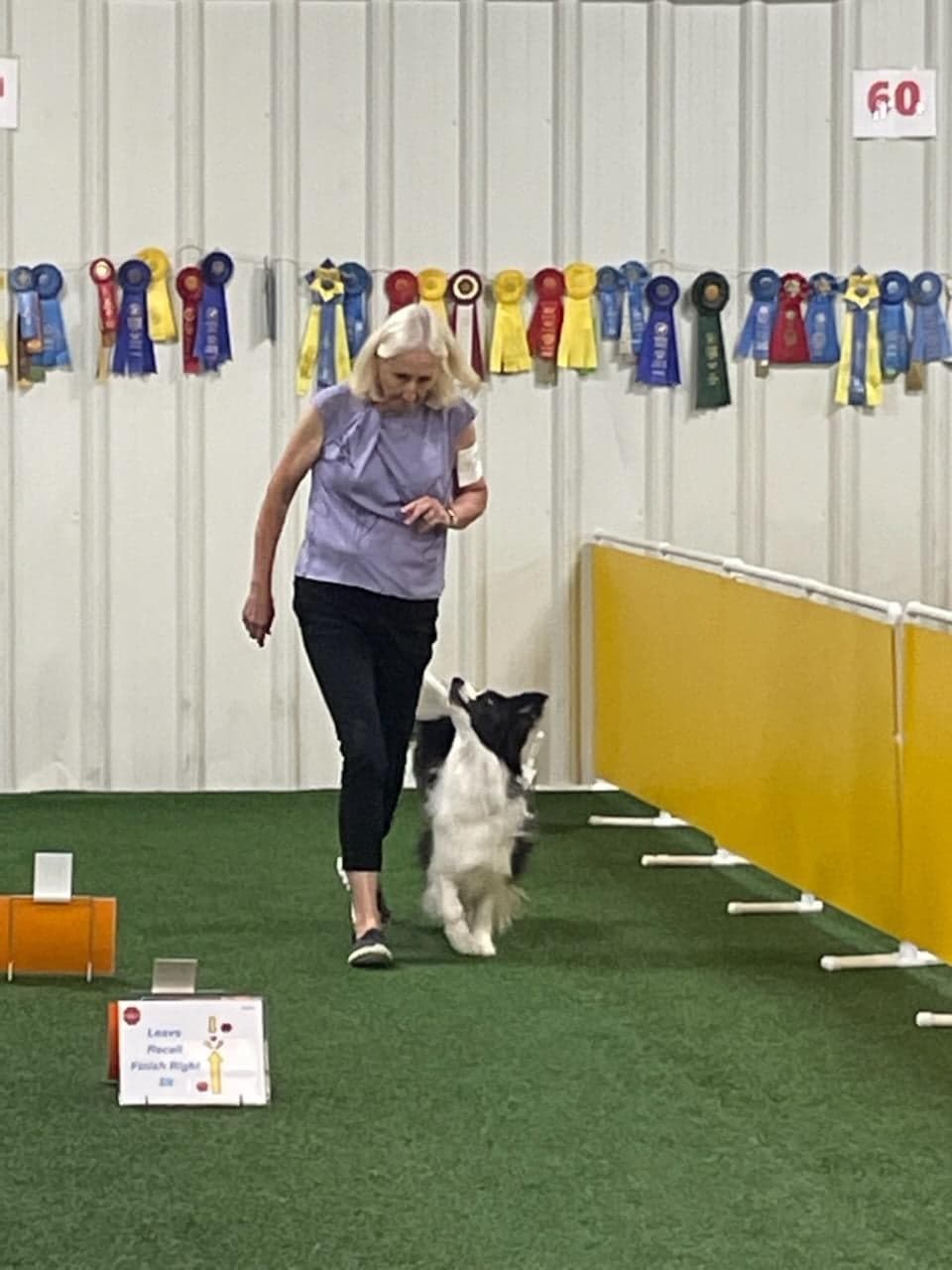 Greater Louisville Training Club