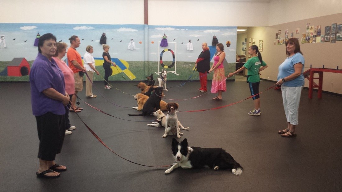 Companion Dog School