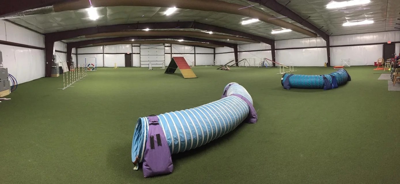 Agility Cues For You