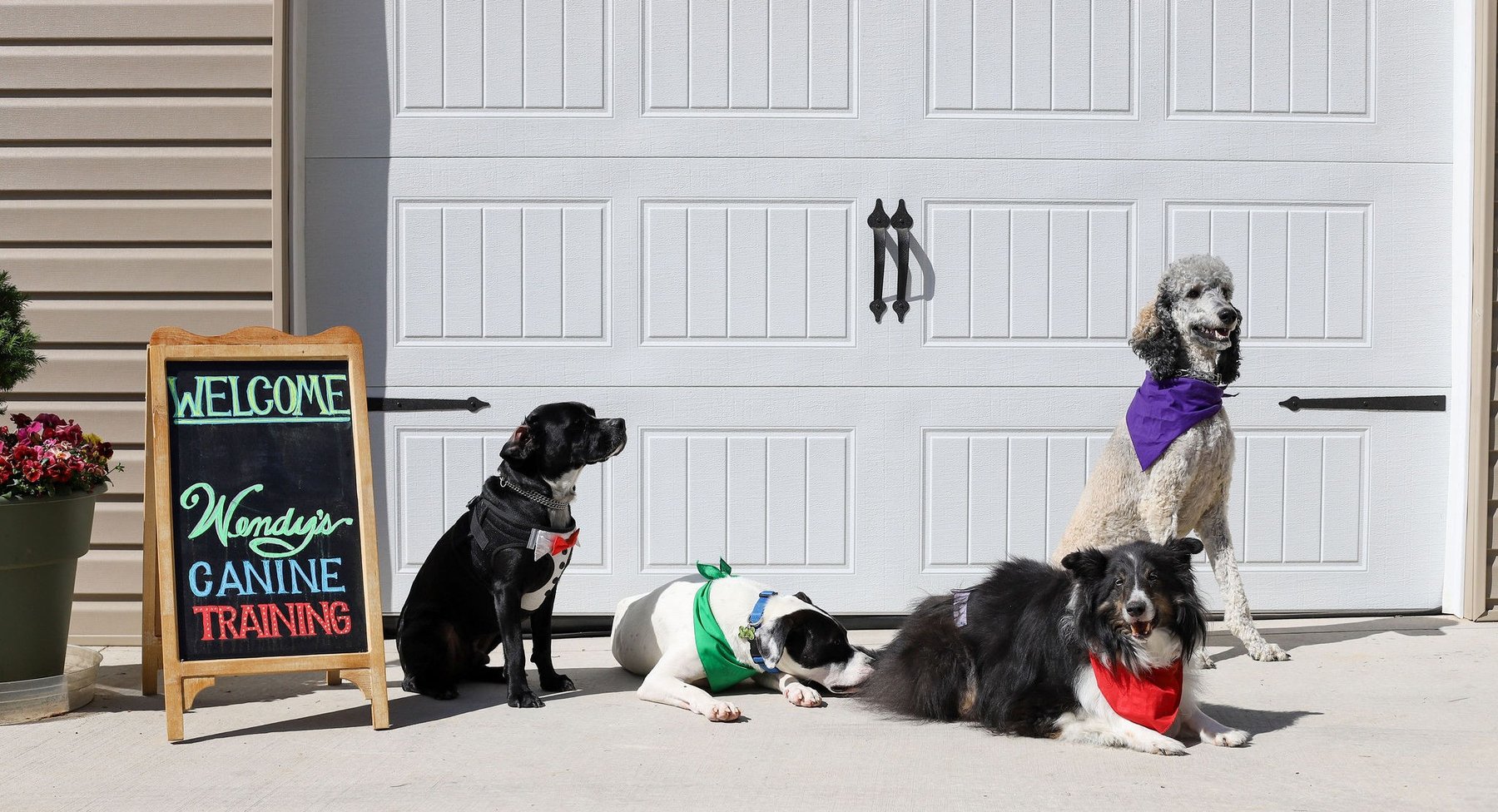 Wendy’s Canine Training