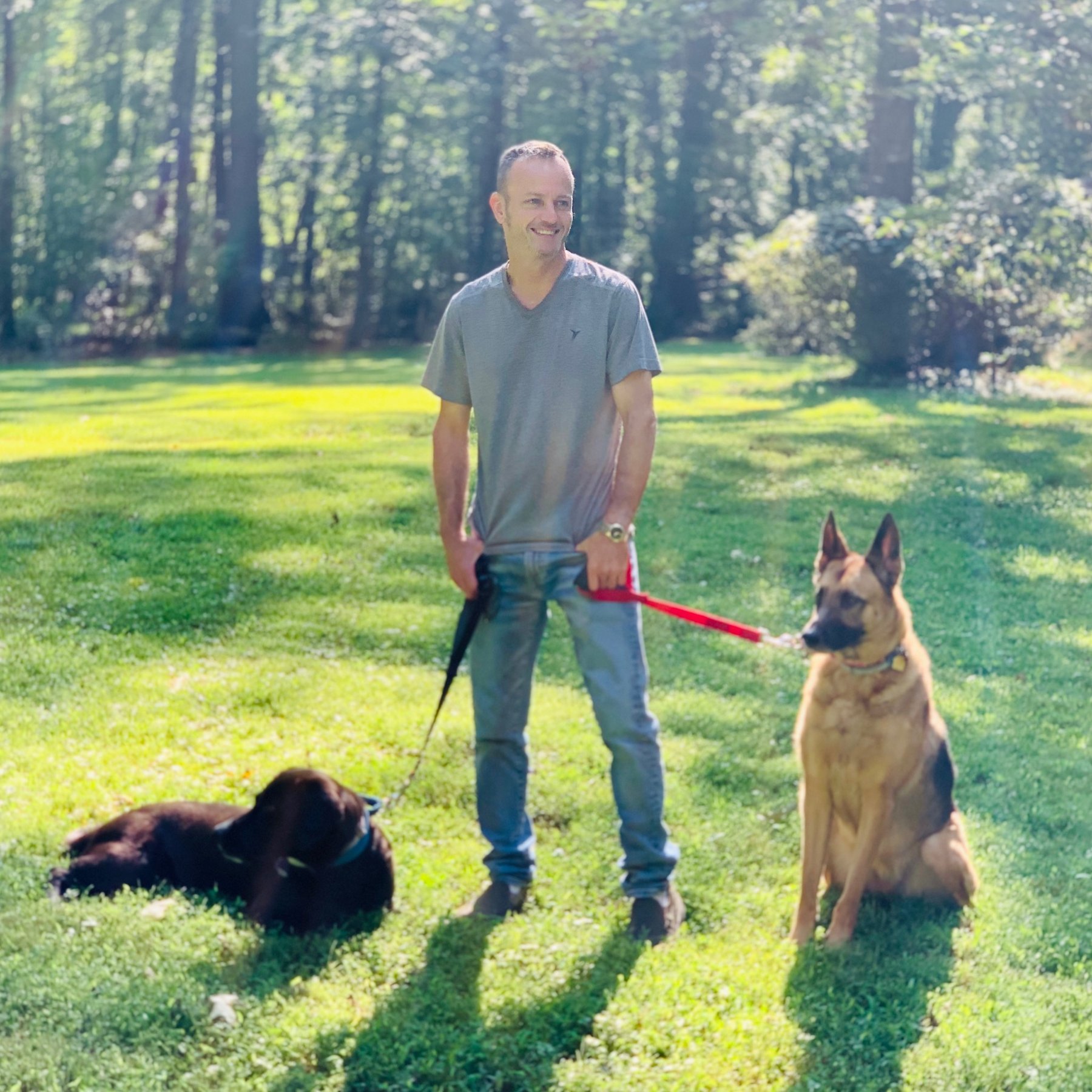 Wolffe Puppy Training — dog trainer in Leesburg, VA