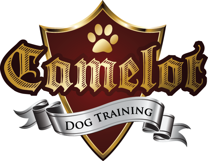 Camelot Dog Training