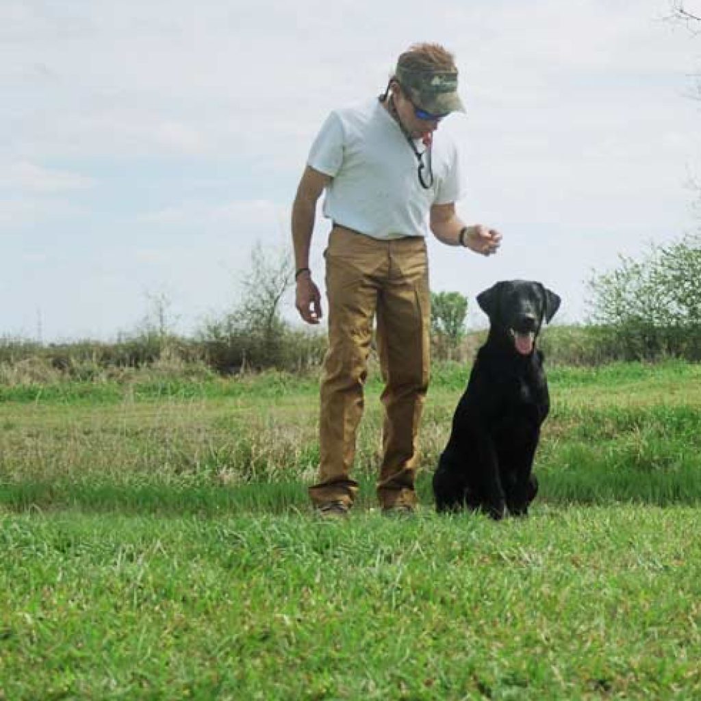 Hendricks Kennels — dog trainer in Katy, TX