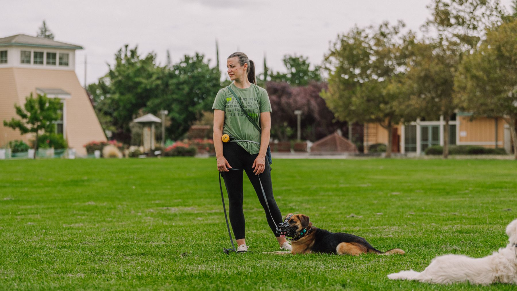 NorCal Canine Academy — dog trainer in Sacramento, CA