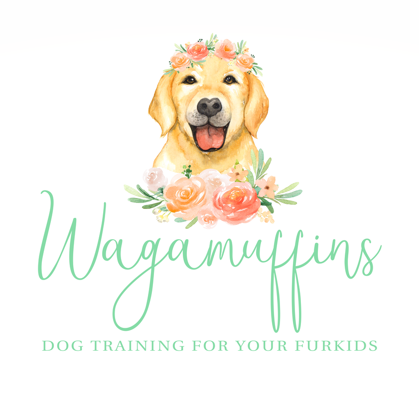 Wagamuffins Dog Training — dog trainer in Corvallis, OR