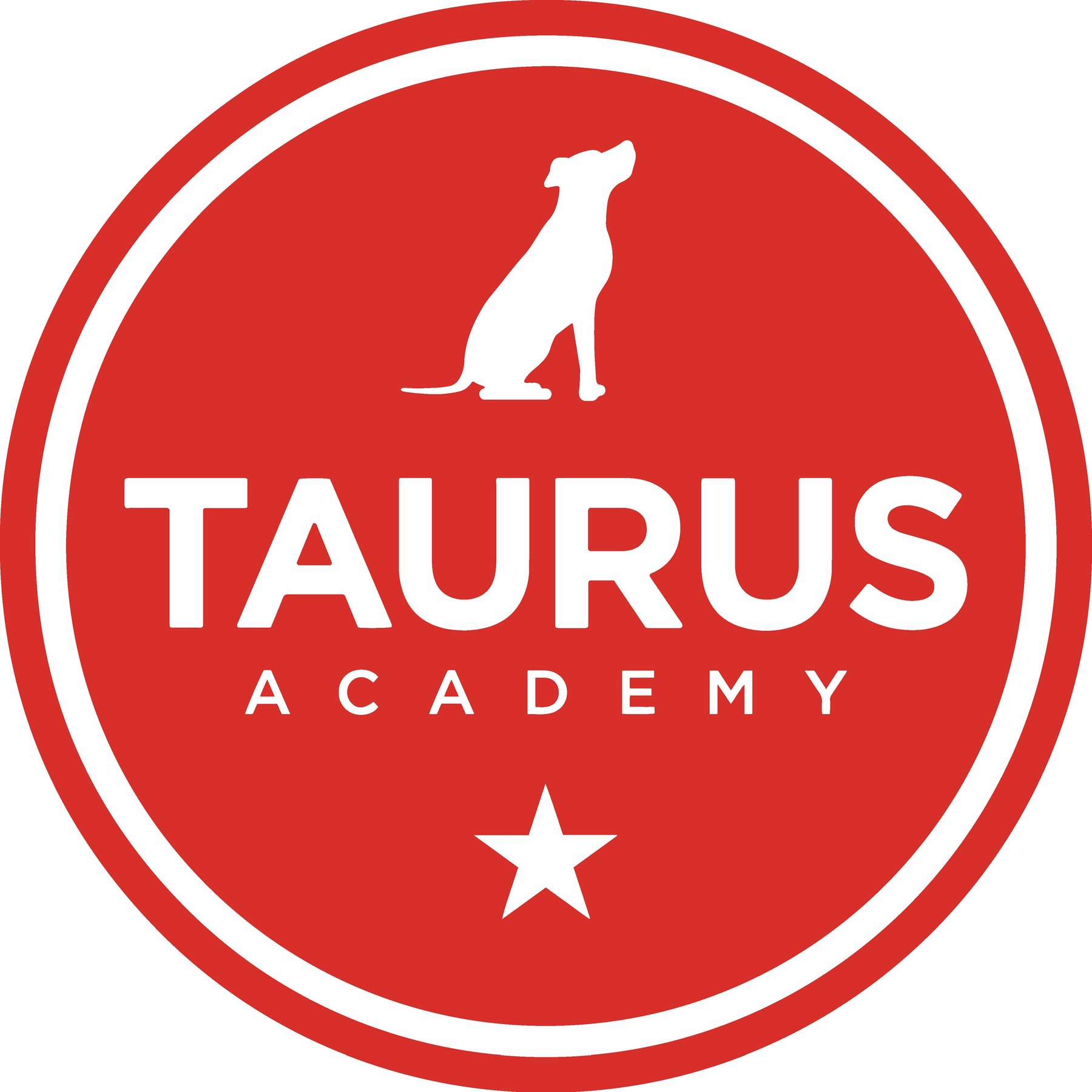 Taurus Academy Metric logo