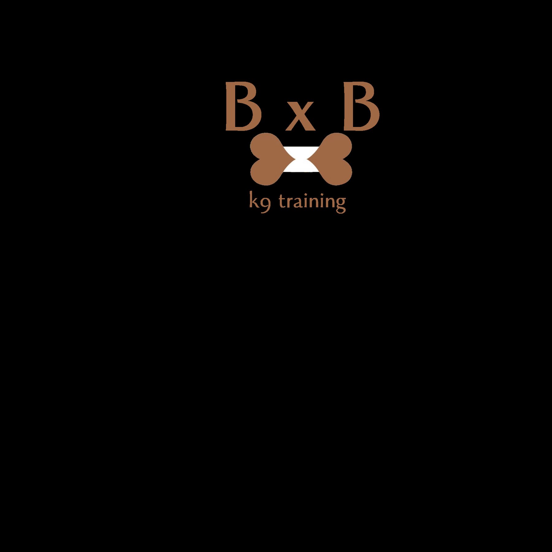 BUDDY x BONES k9 training — dog trainer in San Rafael, CA