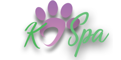 K9 Spa Dog Training & Dog Boarding — dog trainer in West Palm Beach, FL