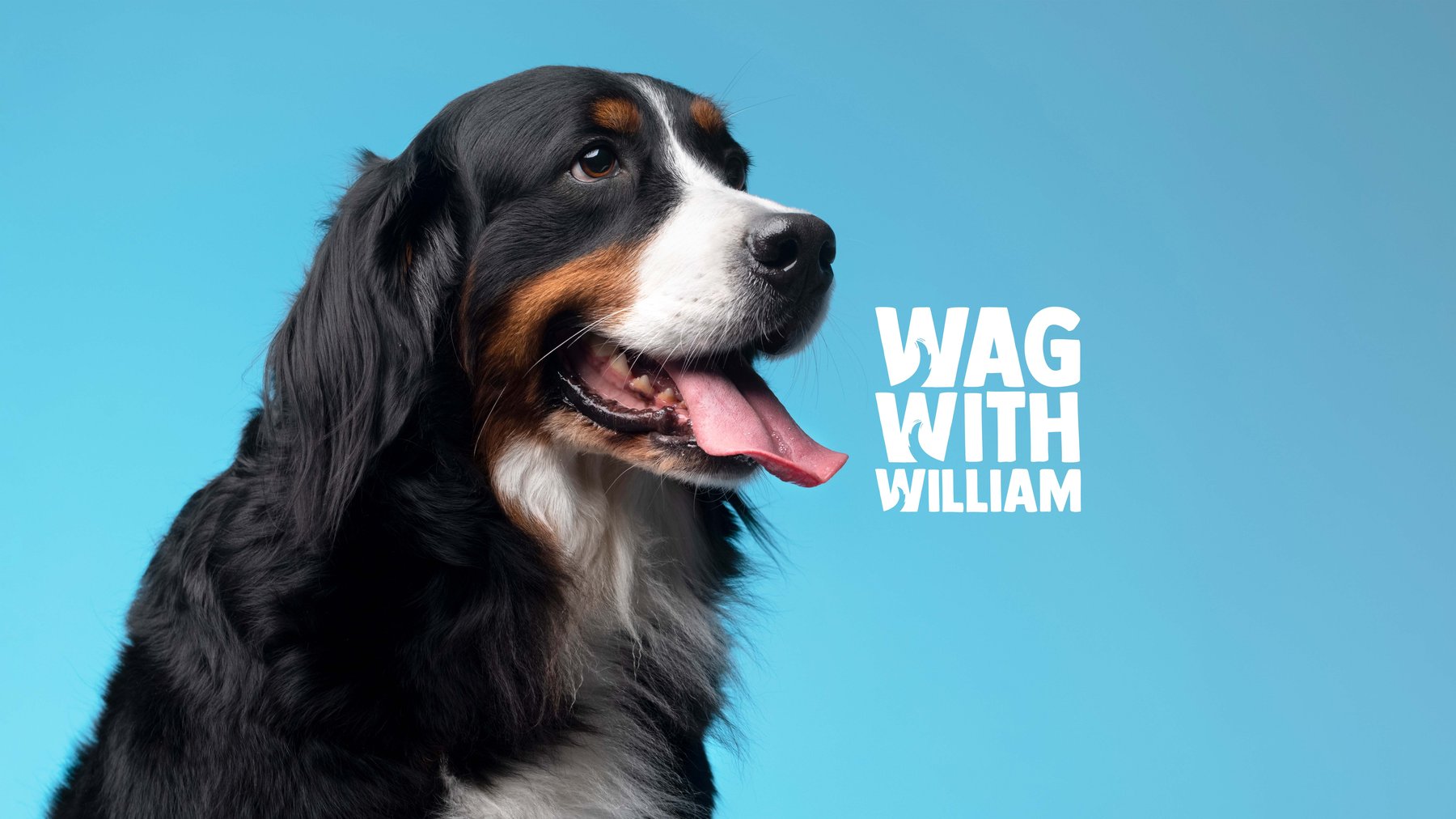 Wag With William — dog trainer in Boston, MA