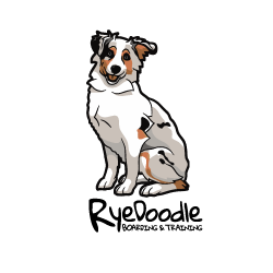 RyeDoodle Boarding & Training logo