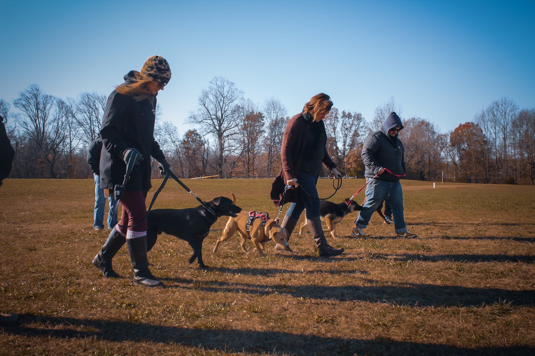 Forward Pawgress Dog Training LLC — dog trainer in Deptford, NJ