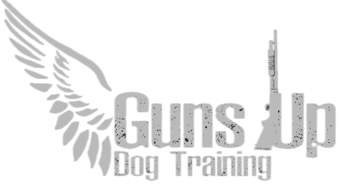 Guns Up Dog Training