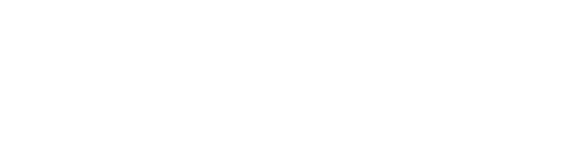 Positive Pets Dog Training