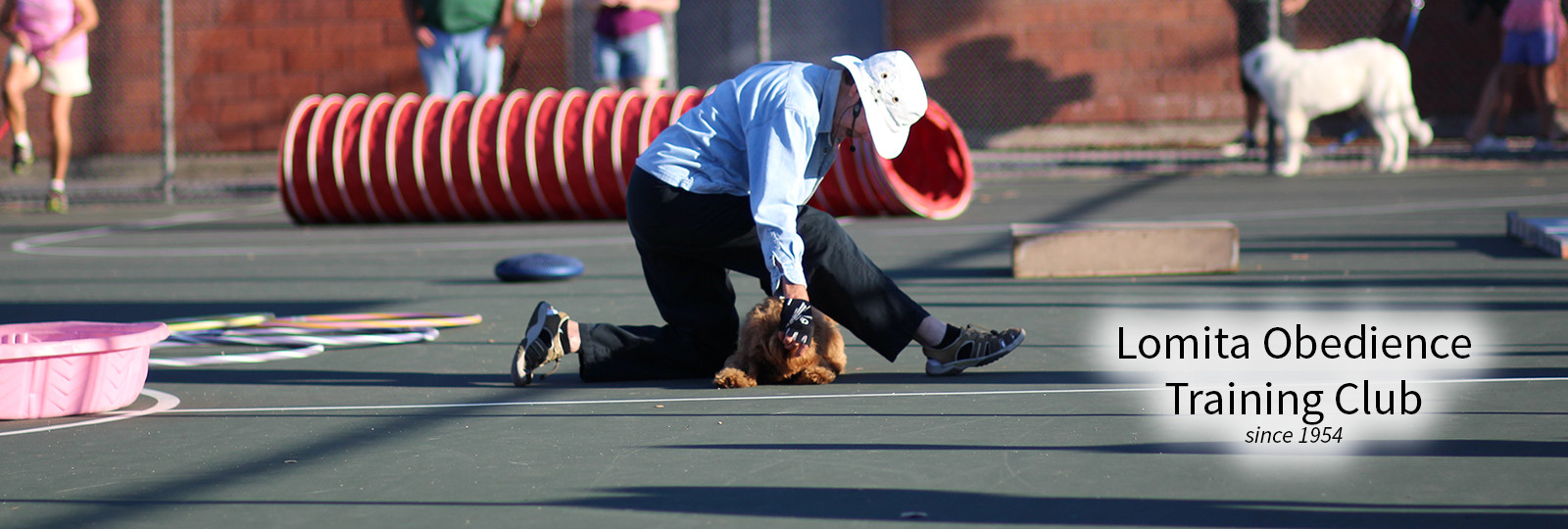Lomita Obedience Training Club