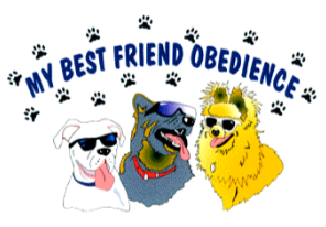 My Best Friend Obedience