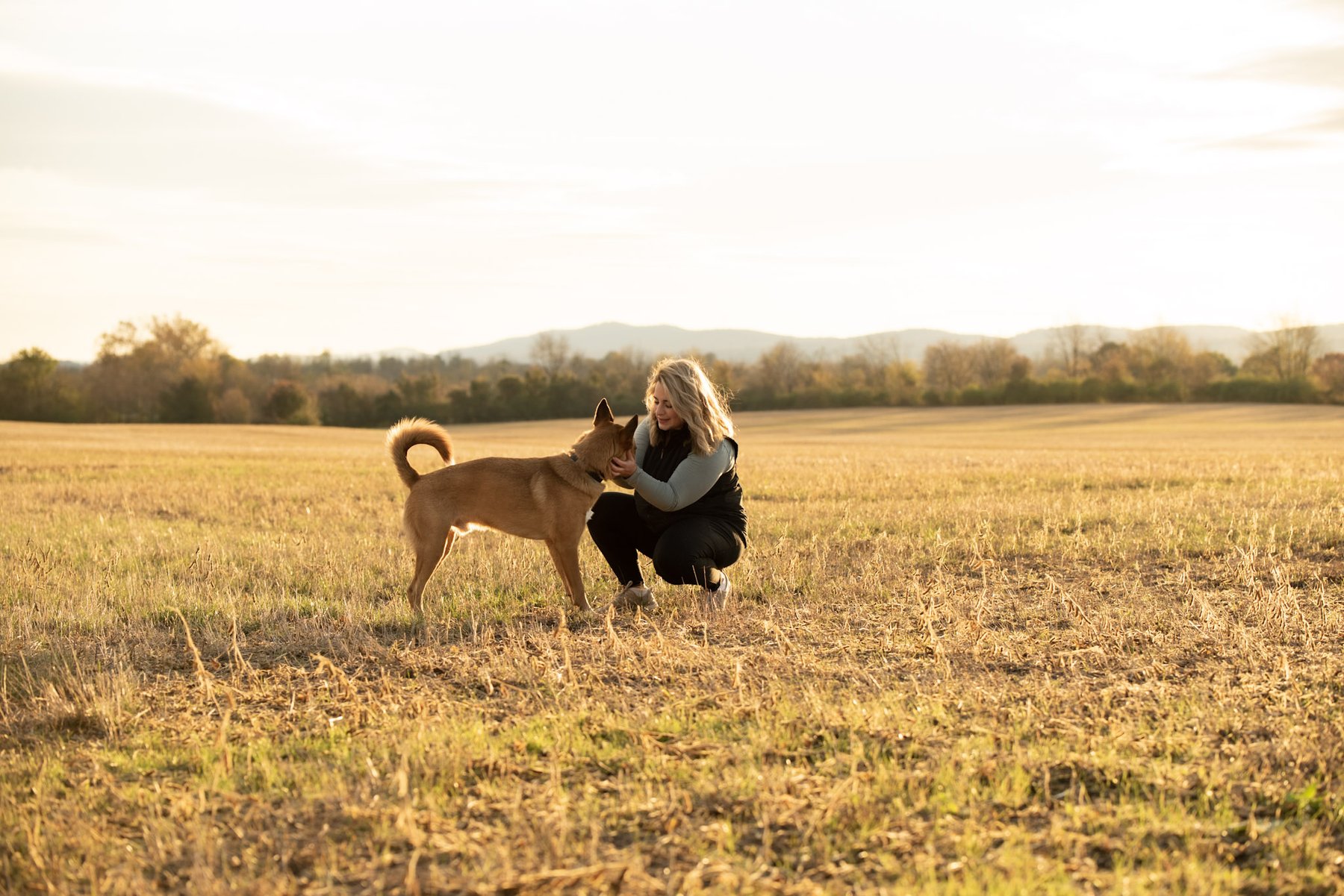 Blue Ridge Canine MD