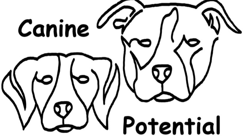 Canine Potential NJ LLC