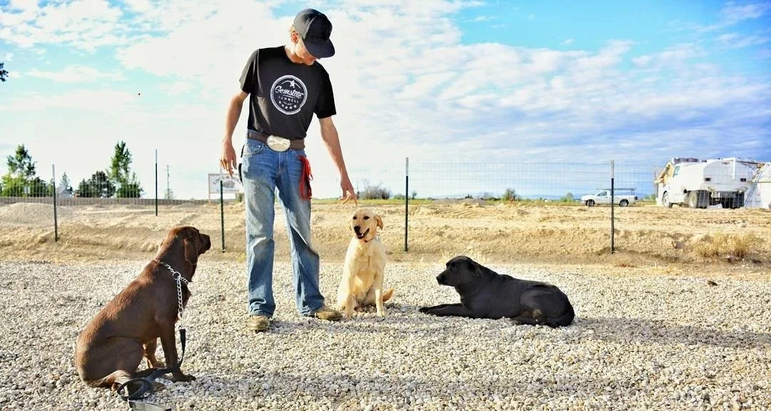 Gem State Kennels — dog trainer in Caldwell, ID