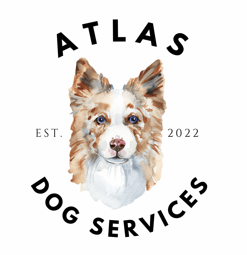 Atlas Dog Services — dog trainer in Morristown, NJ