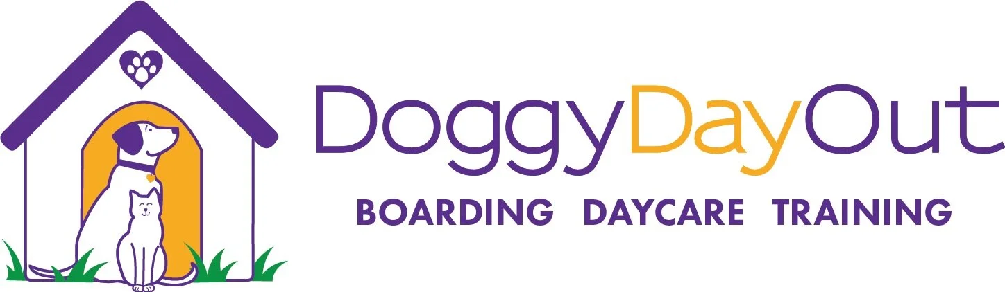 Doggy Day Out Kennel & Daycare