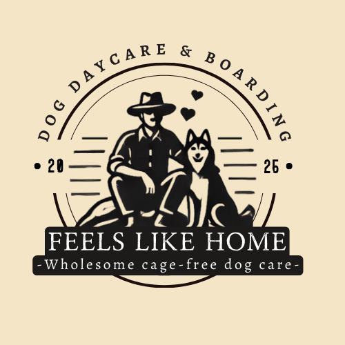 Feels Like Home: Dog Care