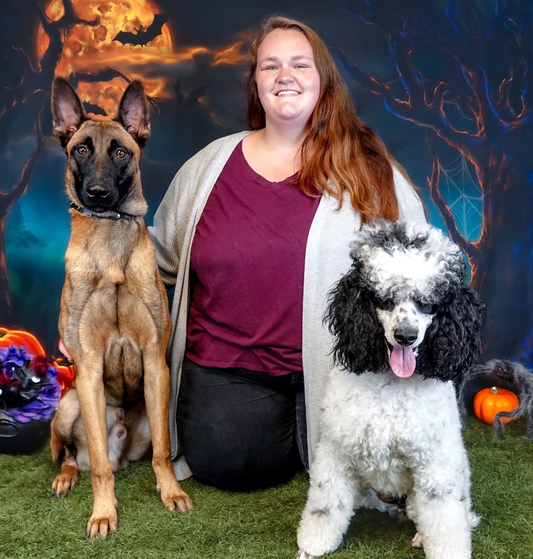 Rochester Dog Training and Pet Care — dog trainer in Rochester, NY