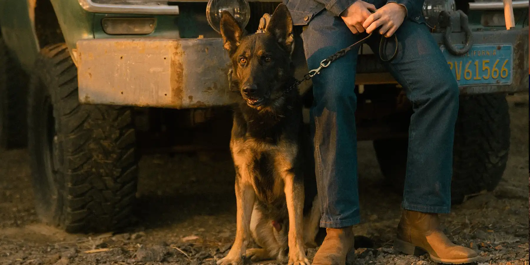 Taylor Made Working Dogs