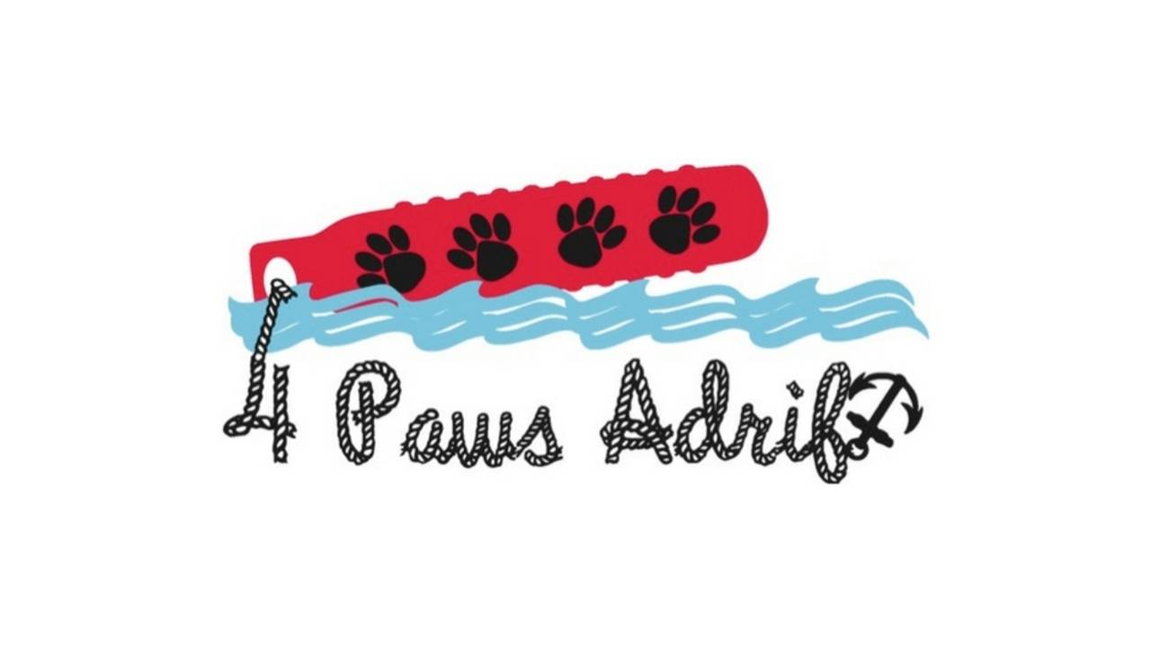 4 Paws Adrift – Canine Swim & Hydrotherapy Center (NJ)