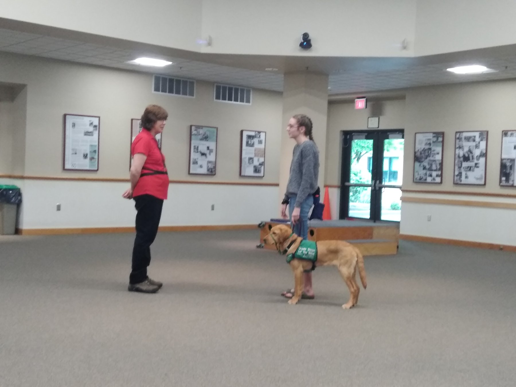 Blissful Pawz Dog Training