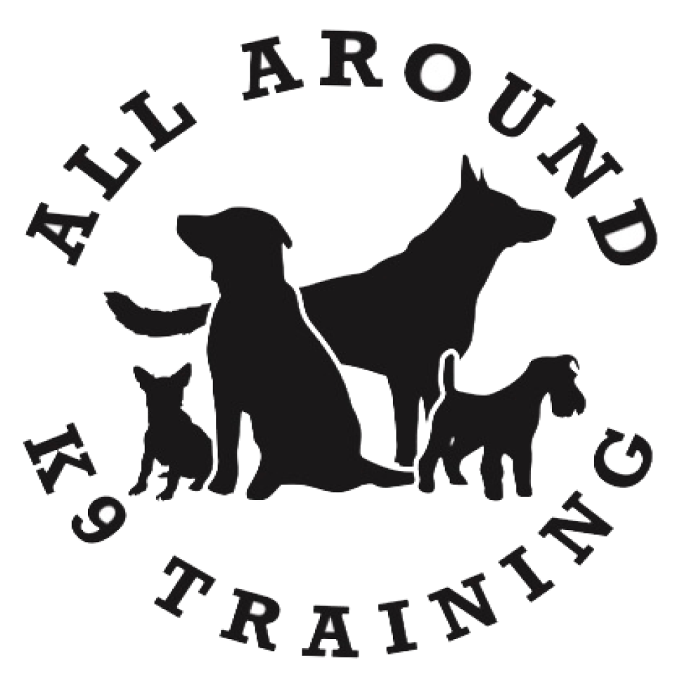 All Around K9 Training — dog trainer in San Antonio, TX