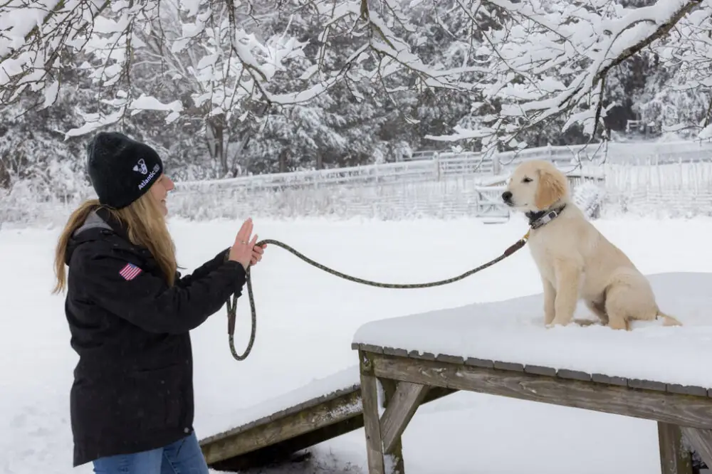 Atlantic K9 Training LLC